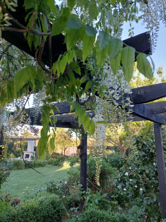 The Grey Studio@13A Carterton المظهر الخارجي الصورة